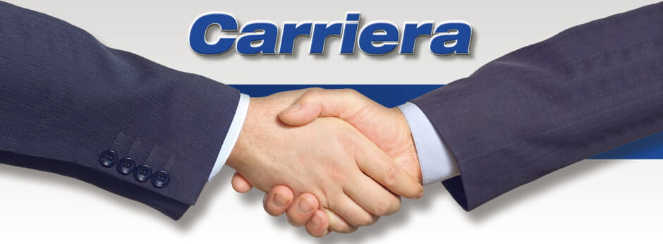 Career