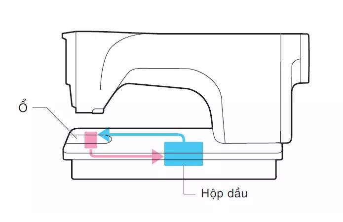 Sản phẩm may sạch